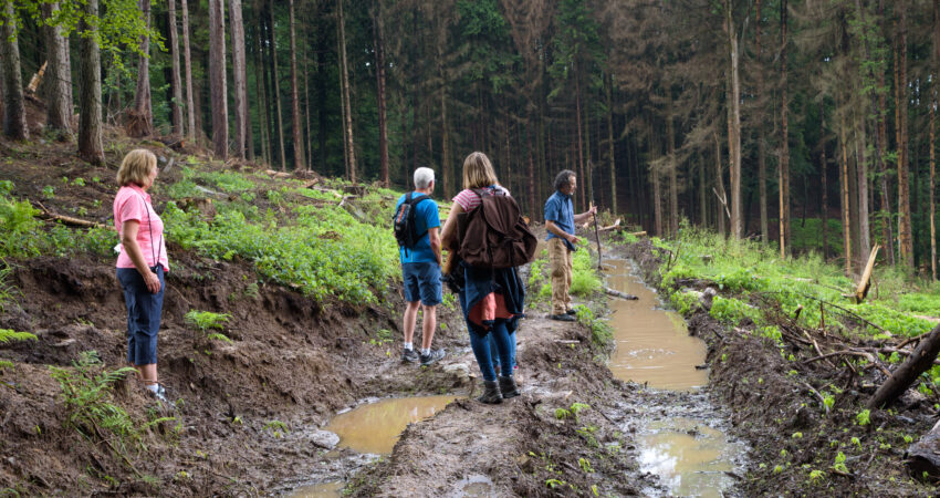 Waldbesichtigung-9.06.2021